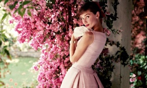 A Norman Parkinson photograph of Audrey Hepburn: 'She had a very clear idea of how she wanted to be