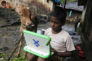 Harish, a school boy uses a laptop as a calf stands next to him, on the eve of International Literacy Day at Khairat village