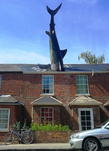 25. The Shark, Oxford, UK