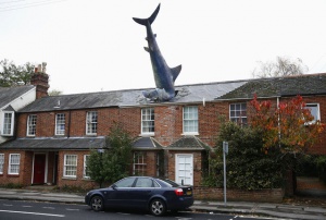 2. Καρχαρίας στη στέγη κατοικίας, Οξφόρδη, Βρετανία