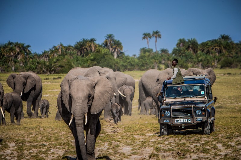 Oscar-winning actress Lupita Nyong'o has travelled to Kenya to join the movement to save African elephants from extinction. The 32-year-old Star Wars actress, who won an Oscar for 12 Years a Slave, called her visit to the elephant orphanage "life changing". The Hollywood star was working with the animal conservation organisation WildAid in their bid to end illegal poaching and the killing of elephants for their tusks. "It was my first time to really have an intimate experience with elephants. What struck me was how big they are, how quiet they are," she said. "It was really a breathtaking experience." Over 30,000 elephants are slaughtered each year to satisfy demand for ivory products in China and other far Eastern countries. "It is time to ban sales of ivory worldwide and to consign the tragedy of the ivory trade to history," said Nyong'o, who was born in Mexico to Kenyan parents and grew up in Kenya but studied in America. "I am proud of my Kenyan heritage, and part of that heritage is the incredible wildlife haven that is in our care. Poaching steals from us all," she added.  ***MANDATORY CREDIT: KristianSchmidt/WildAid/Splash*** Pictured: Lupita Nyong'o in Kenya.  ***MANDATORY CREDIT: KristianSchmidt/WildAid/Splash*** Ref: SPL1067689  010715   Picture by: KristianSchmidt/WildAid/Splash Splash News and Pictures Los Angeles:	310-821-2666 New York:	212-619-2666 London:	870-934-2666 photodesk@splashnews.com 