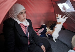 In this picture taken on March 6, 2016,  Abeer al Hosary speaks during an interview with the Associated Press as family cat Taboush who was smuggled across borders during their trip from Syria to Greece jumps inside the tent in Idomeni, Greece, near the border with Macedonia.  Nearly 70 years after Abeer al Hosarys parents fled Palestine, she is reliving their fate, forced to leave home with nearly nothing and start again from scratch in a foreign land.  (AP Photo/Vadim Ghirda)