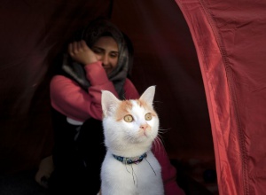 In this picture taken on March 6, 2016, Israa Abud smiles as family cat Taboush peers from the tent in Idomeni, Greece, near the border with Macedonia.  Nearly 70 years after Israa Abud al Hosarys grandparents fled Palestine, she is reliving their fate, forced to leave home with nearly nothing and start again from scratch in a foreign land. (AP Photo/Vadim Ghirda)